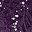 Purple Pennant