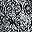 Black Ikat