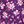 Plum Purple Patch