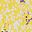 Primrose Yellow Leaf