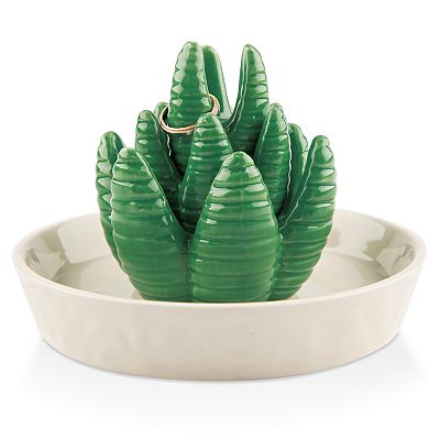 cactus auf deutsch Rare Orchid Cactus Live Plant & Fresh Cutting, German Empress Epiphyllum,  Rooted Variety, Unique Houseplant – Jayme Garden main image 1