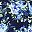 Navy Pretty Rose