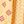 Red Ochre Pretty Rose
