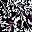 Black Spring Floral