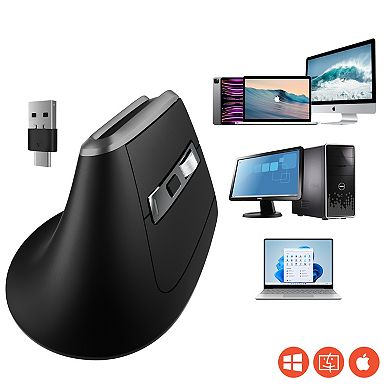 Delton S20 Ergonomic Vertical Wireless Mouse, Bluetooth & 2.4GHz (DMS20-WB)