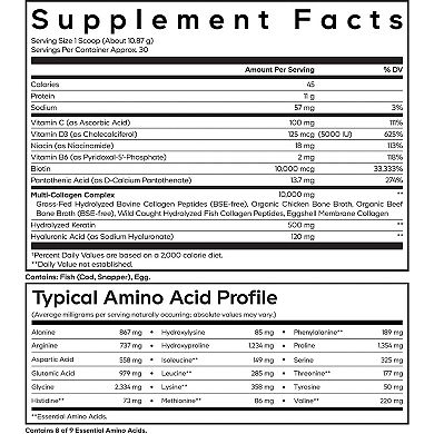 Codeage Platinum Multi Collagen Protein + Biotin Powder Supplement 11.50 oz
