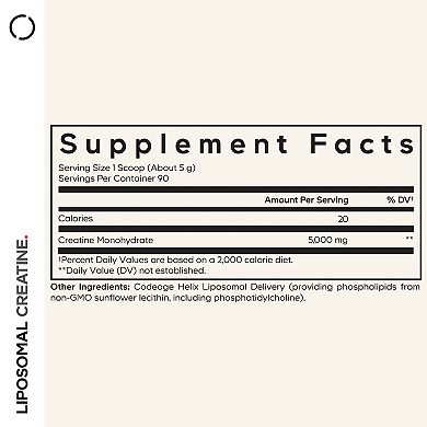Codeage Creatine Monohydrate Powder Supplement 3-Month Supply 16.03 oz