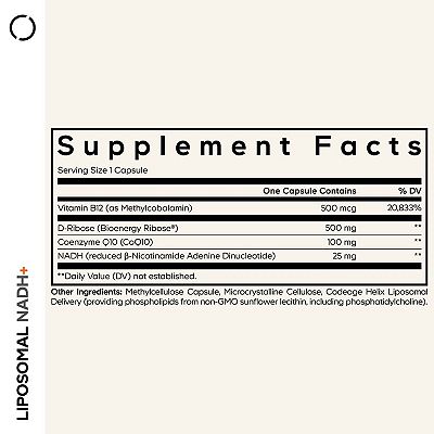 is carnitine and l-carnitine the same L-Carnitine Benefits: A Complete Research-Based Guide