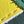 Collegiate Green Yello