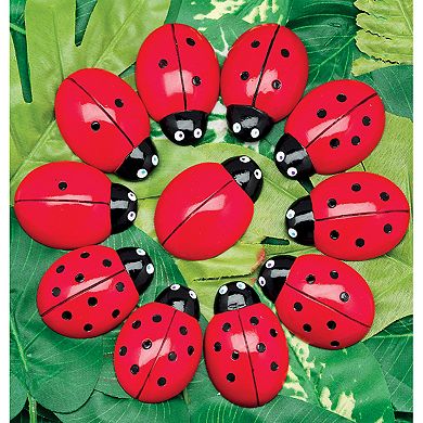 Yellow Door Ladybugs Counting Set