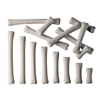 Yellow Door Dinosaur Bones Match & Measure Set