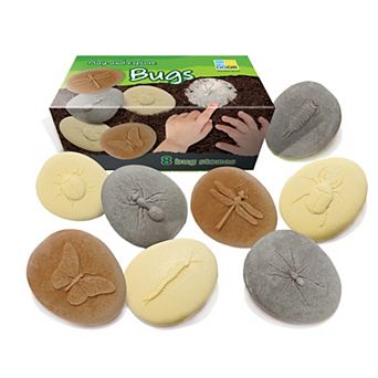 Yellow Door Let's Investigate Bugs Set