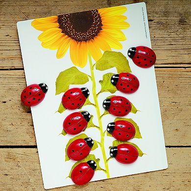 Yellow Door Ladybugs Early Numbers Counting Cards