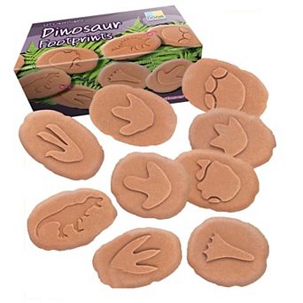 Yellow Door Let's Investigate Dinosaur Footprints