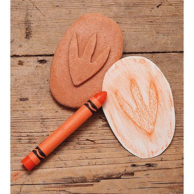 Yellow Door Let's Investigate Dinosaur Footprints