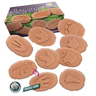 Yellow Door Let's Investigate Dinosaur Footprints