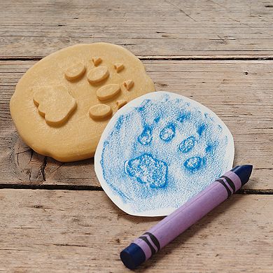 Yellow Door Let's Investigate Safari Footprints