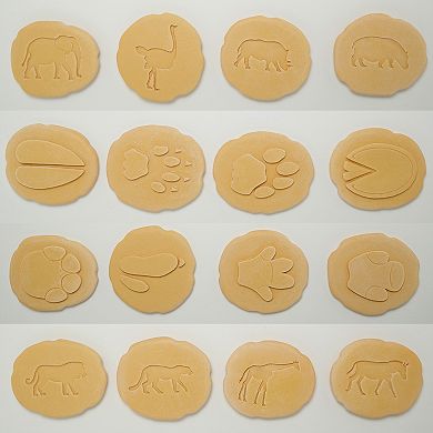 Yellow Door Let's Investigate Safari Footprints