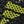 Black Solar Slime