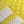 Yellow White Black