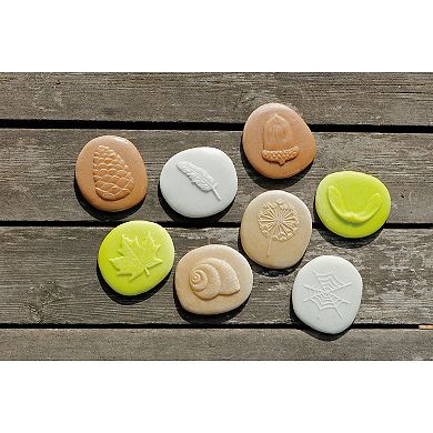 Yellow Door Let's Investigate Nature Set