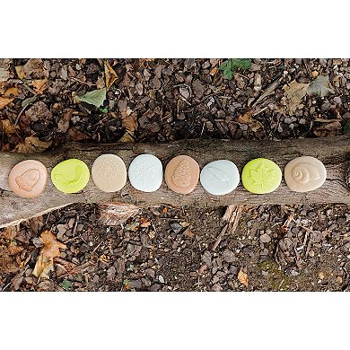 Yellow Door Let's Investigate Nature Set