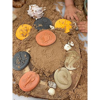 Yellow Door Let's Investigate Seashore Set