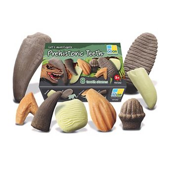 Yellow Door Let's Investigate Prehistoric Teeth Set