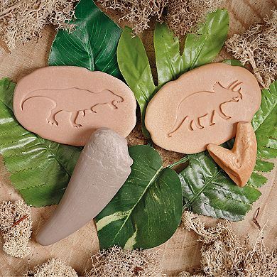 Yellow Door Let's Investigate Prehistoric Teeth Set