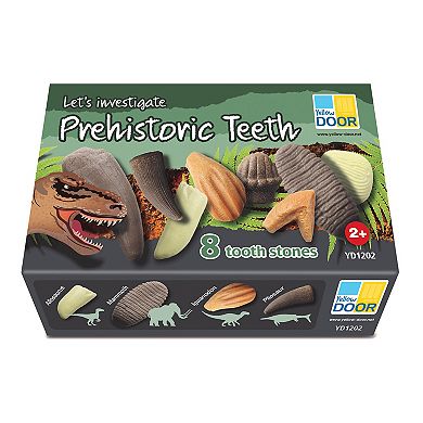 Yellow Door Let's Investigate Prehistoric Teeth Set