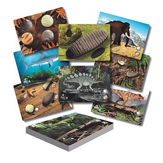 Yellow Door Prehistoric Teeth Explore & Discover Activity Cards