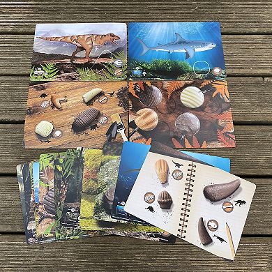 Yellow Door Prehistoric Teeth Explore & Discover Activity Cards