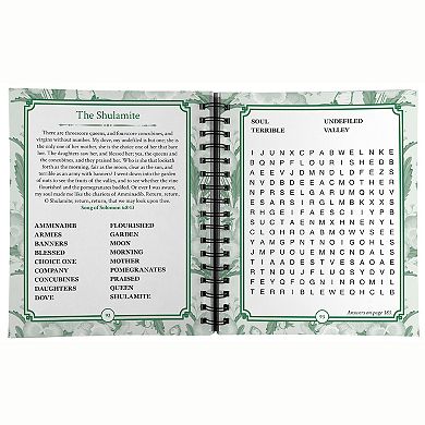 Brain Games Bible Word Search: Women of the Bible