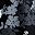 Black Graphic Bloom
