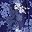 Navy Bloom