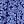 Navy Blossom