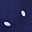Navy Polka Dot