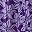 Purple Blossom