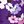Purple Garden