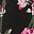 Black Floral