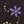 Black Multi Snowflakes