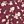 Deep Wine Ivory Floral