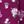 Deep Claret Pretty