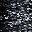 Black White Sunburst