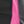 Black Fuchsia