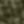 Dark Olive Green
