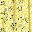 Primrose Yellow Leaf