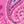Peony Petal Paisley