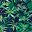 Navy Palm Print