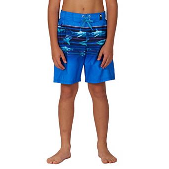 Boys 4-20 ZeroXposur Surfer Swim Trunks